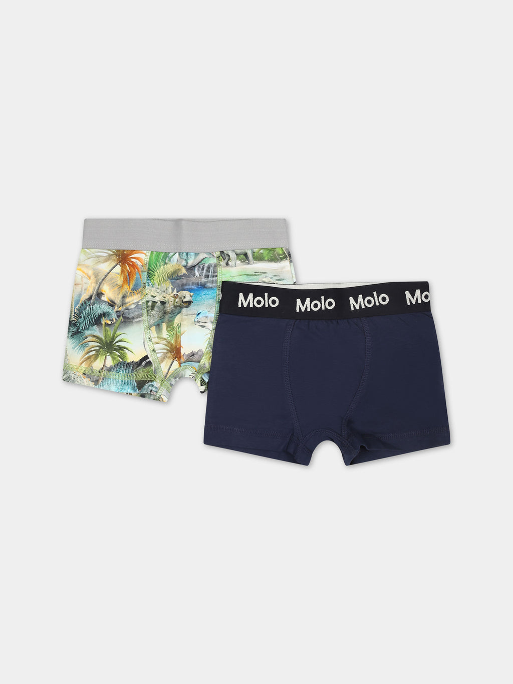 Multicolor set for boy with dinosaur print